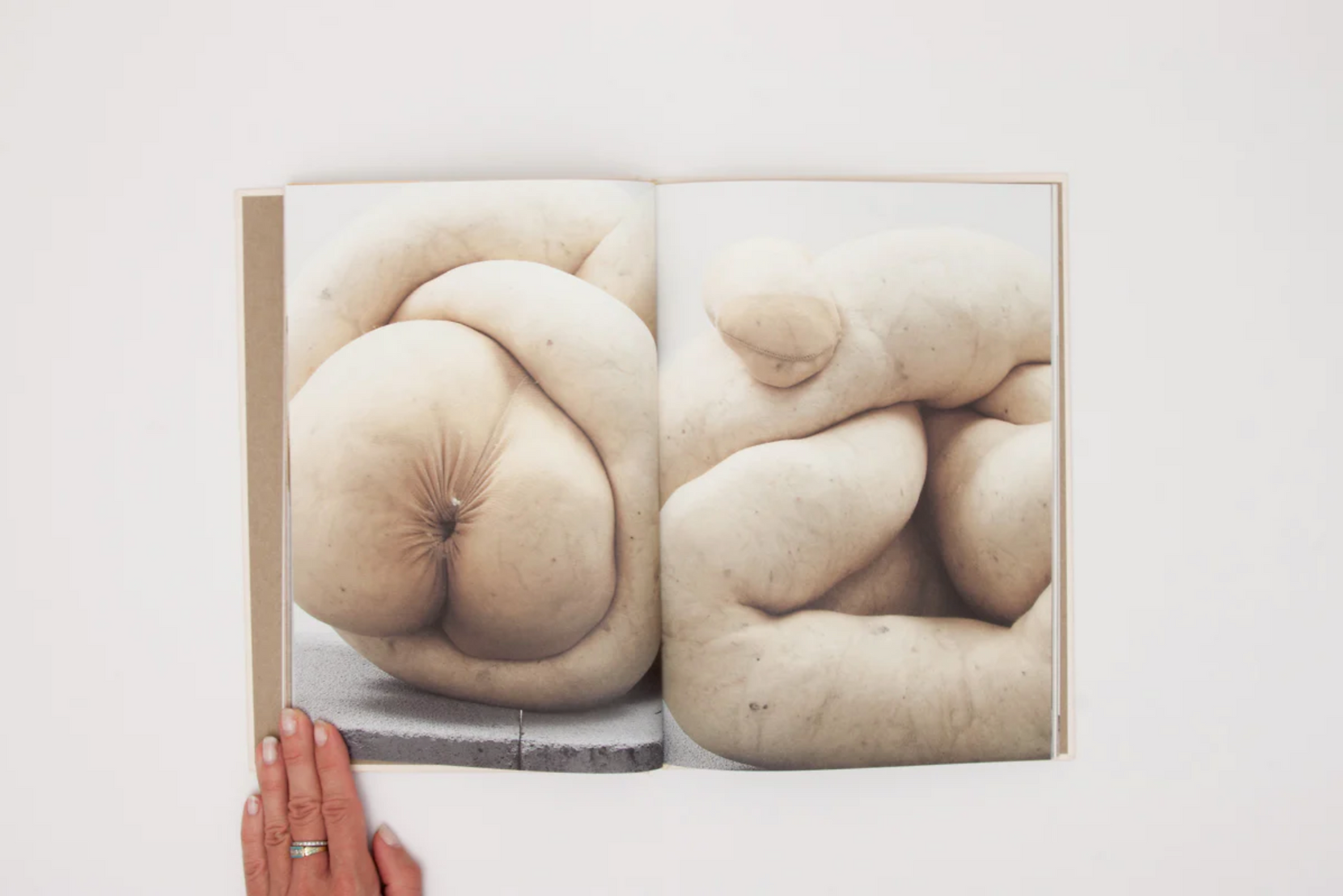 Sarah Lucas SEX LIFE