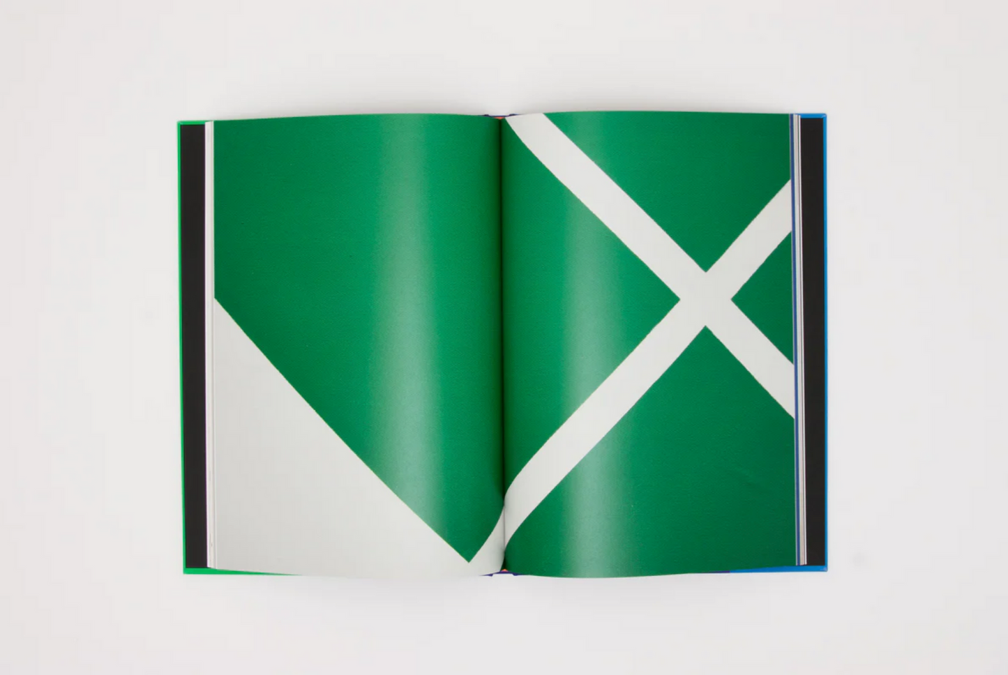 Carmen Herrera: Colour Me In