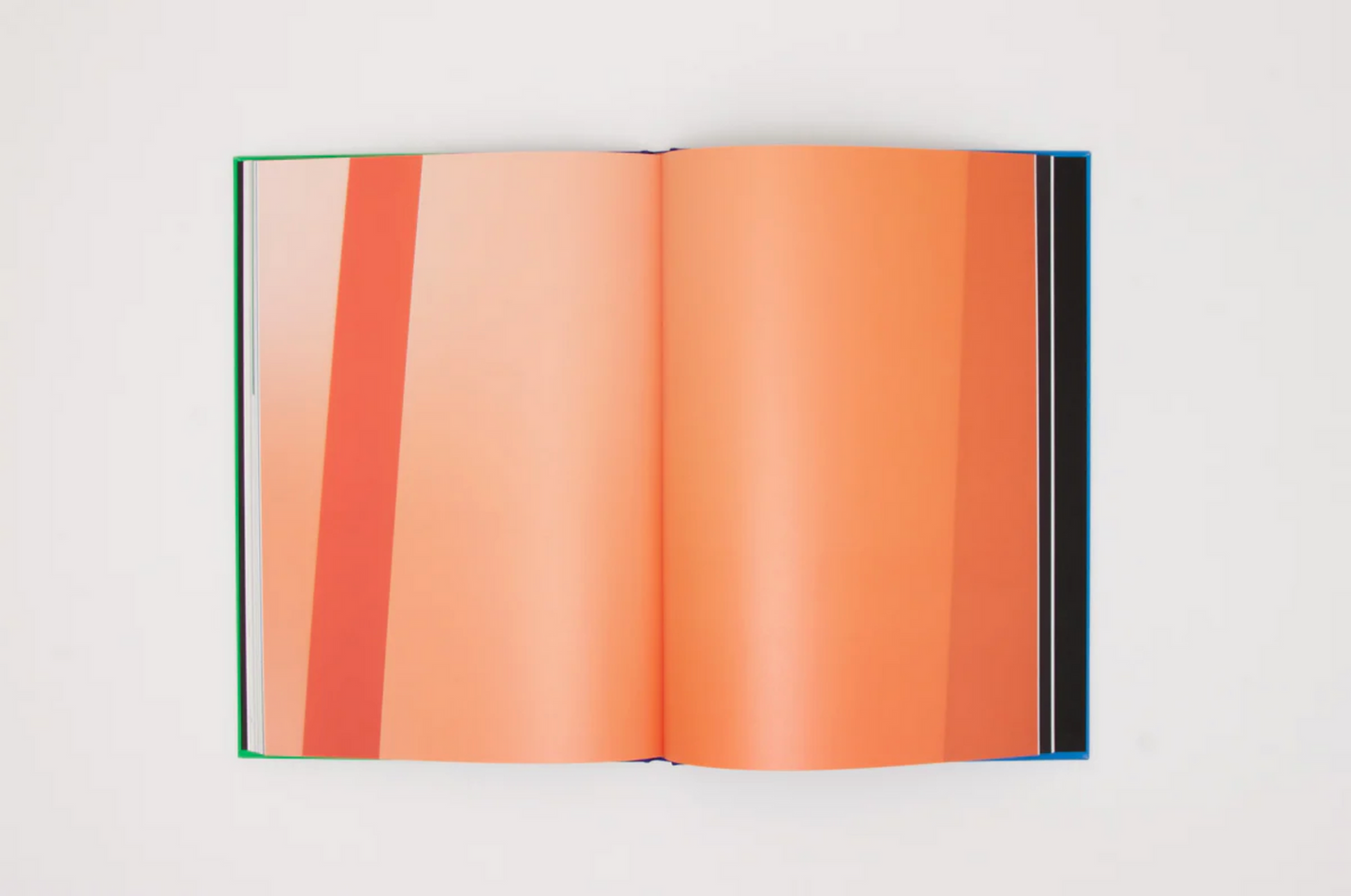 Carmen Herrera: Colour Me In